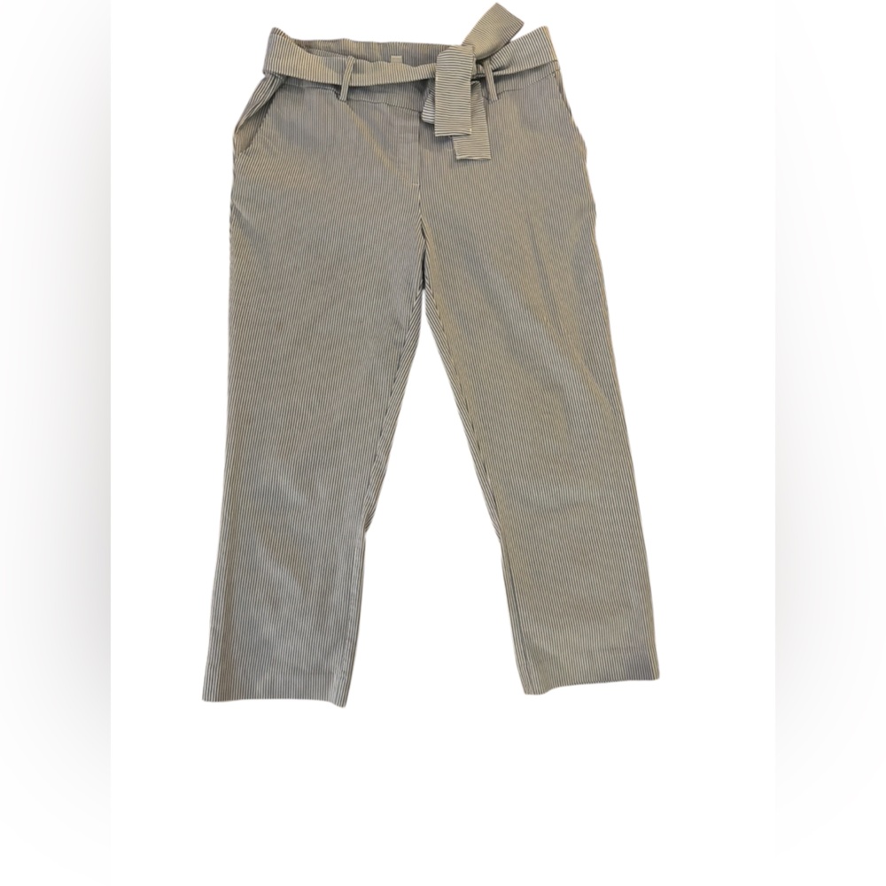 Pin Stripped Stretch Ankle pants